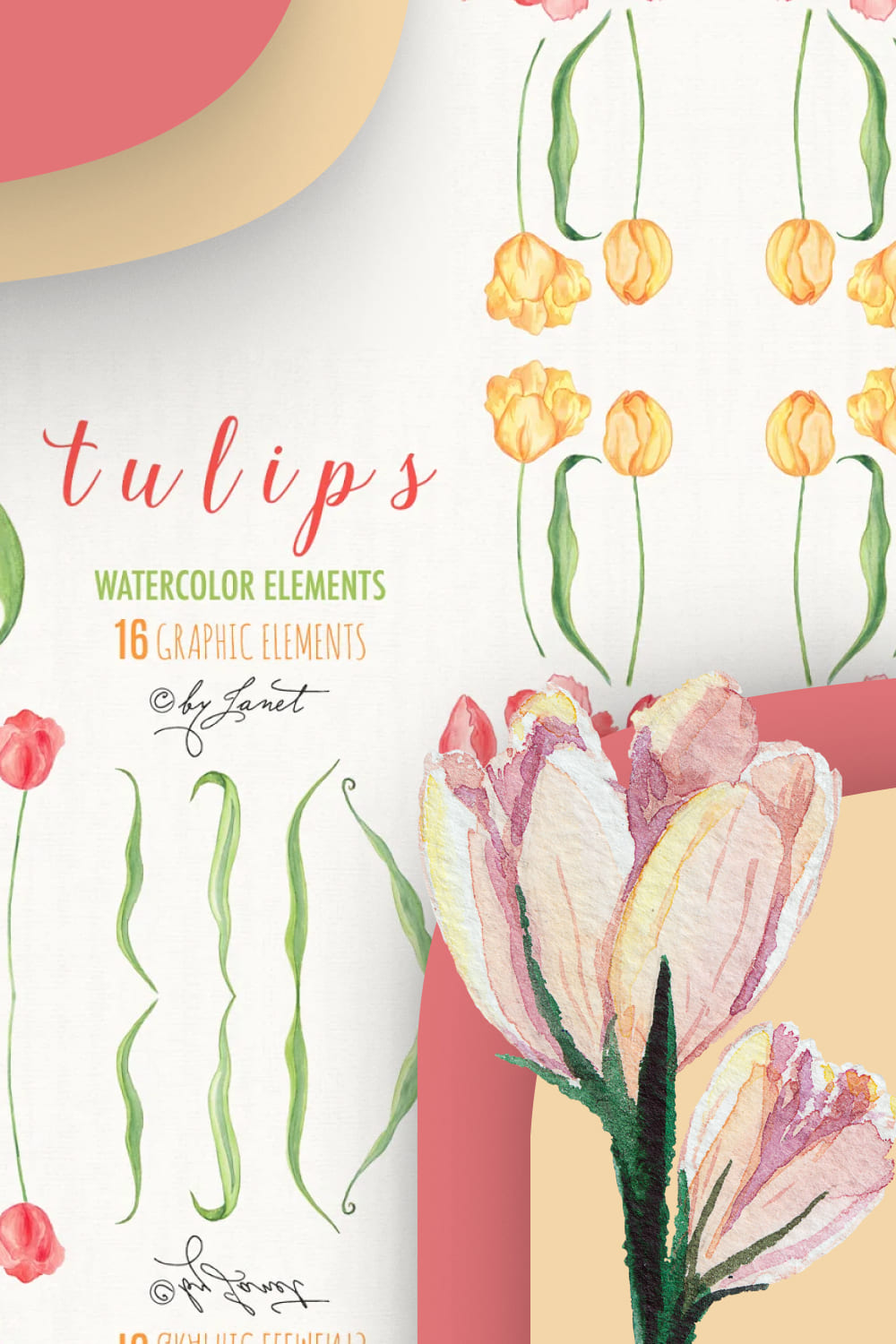 05 tulips1000x1500 1