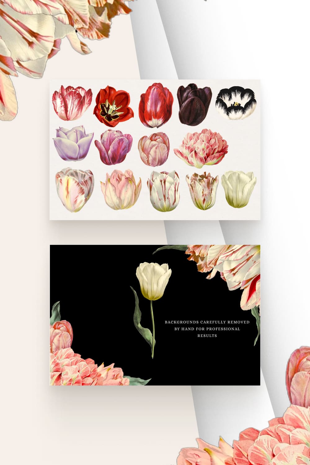 05 vintage watercolor tulips1000x1500