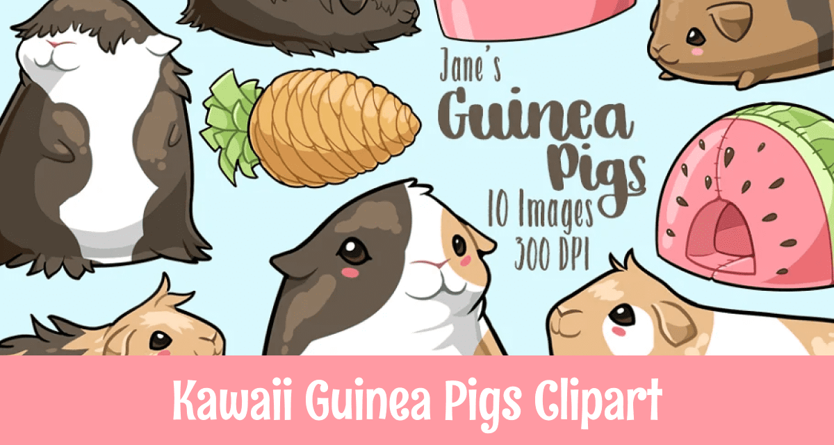 Kawaii Guinea Pigs Clipart – MasterBundles