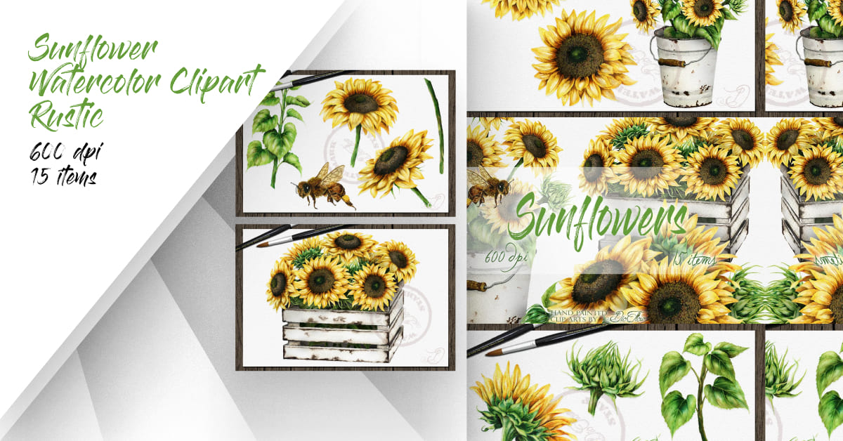 Sunflower watercolor clipart rustic.