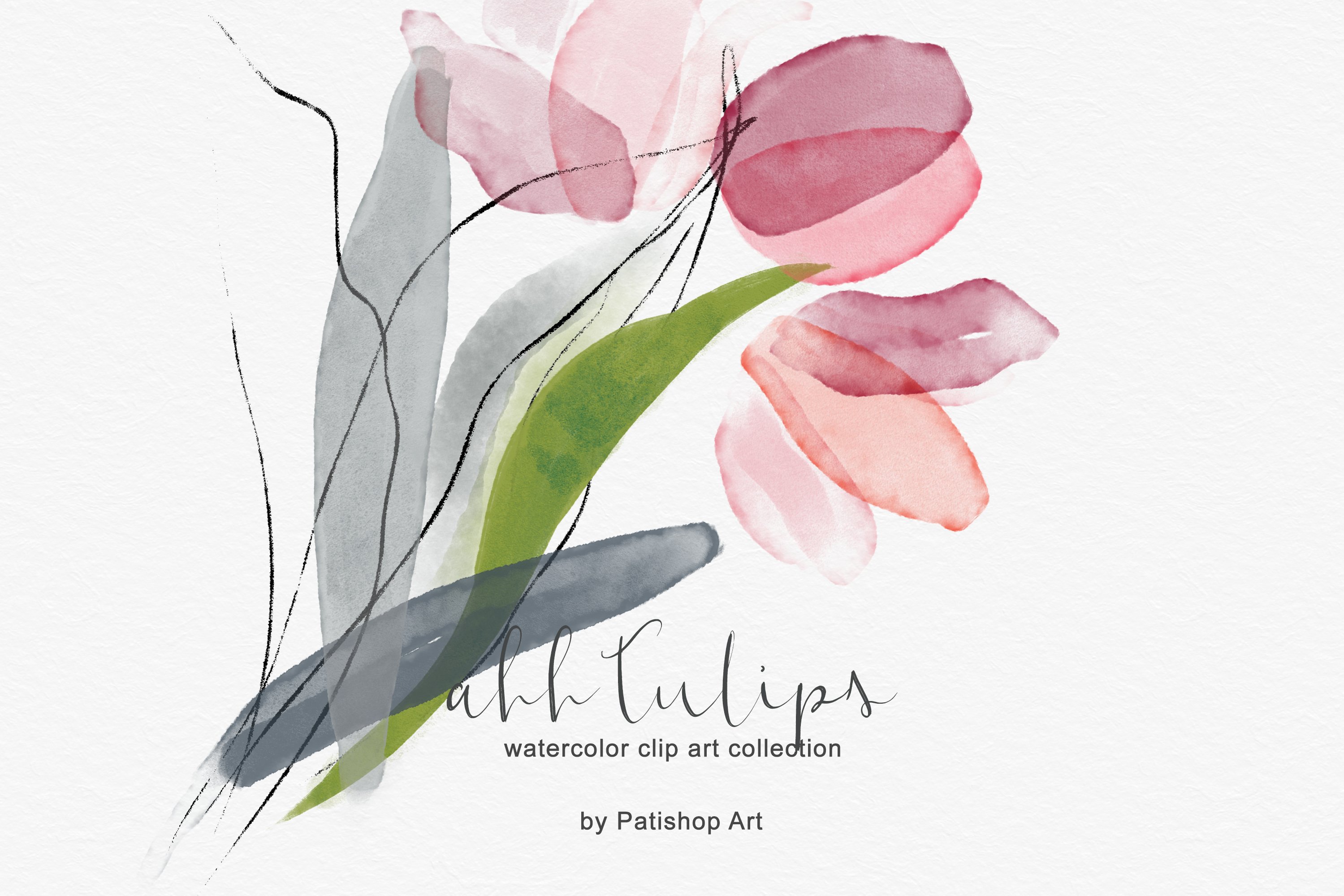  Delicate Watercolor Tulip Clipart.