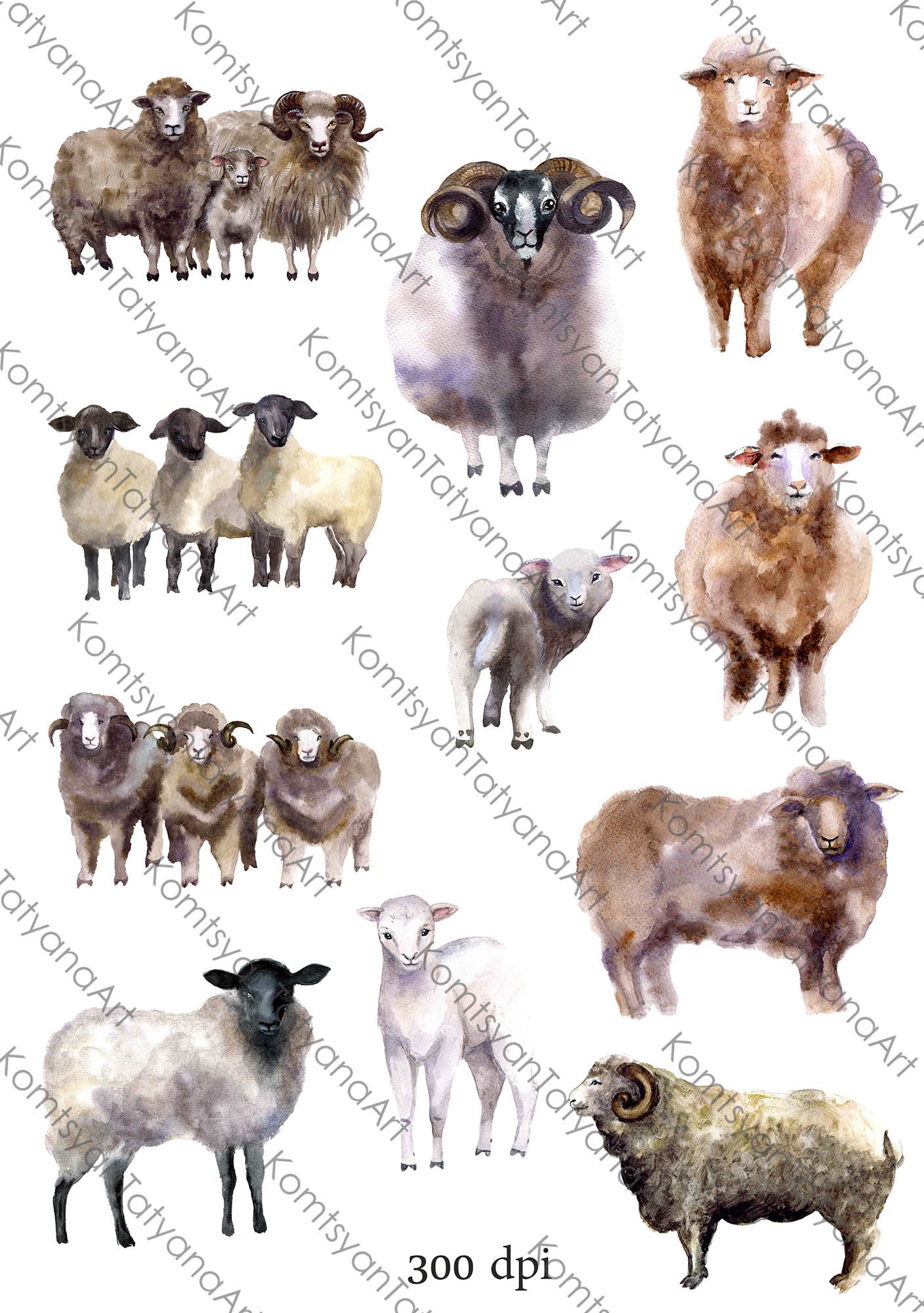 Watercolor Clipart. Sheep Clipart.