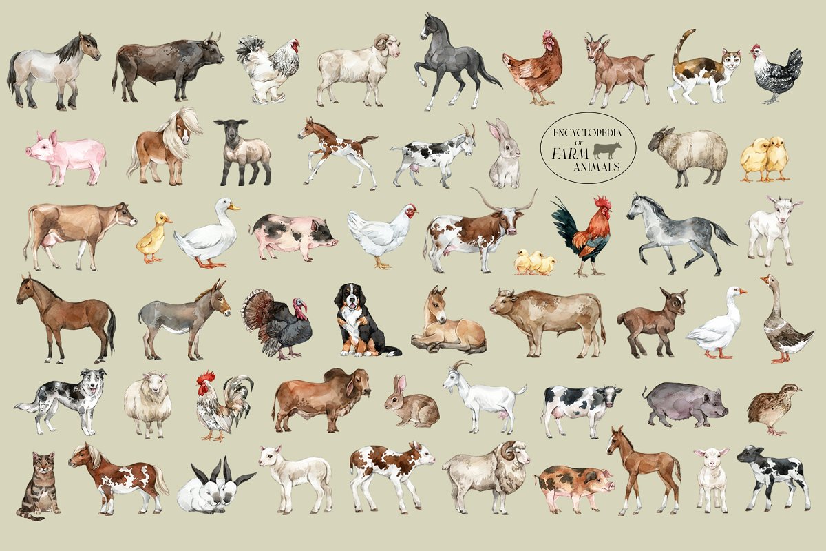 Diverse of farm animals.