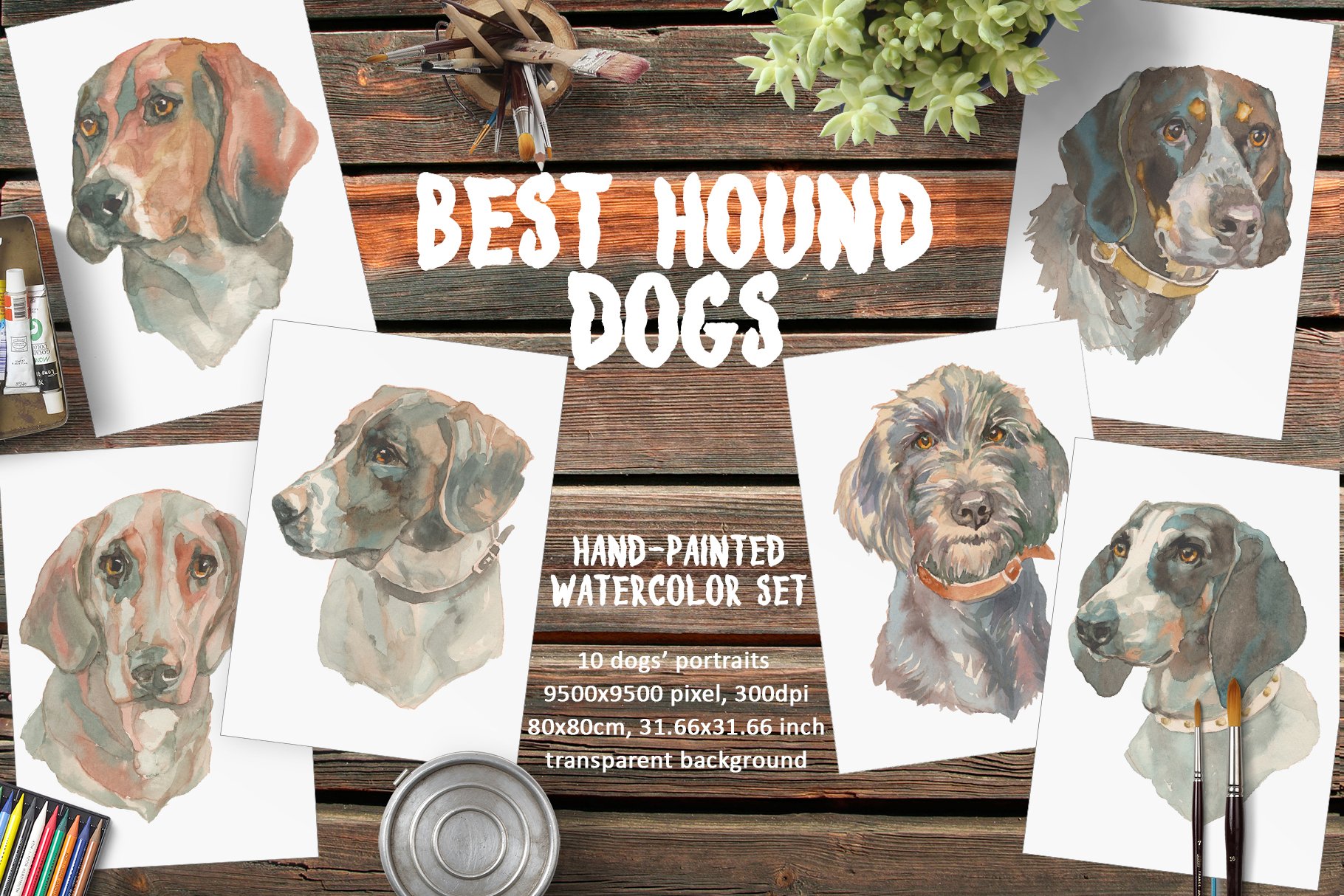 Best Hound Dogs.
