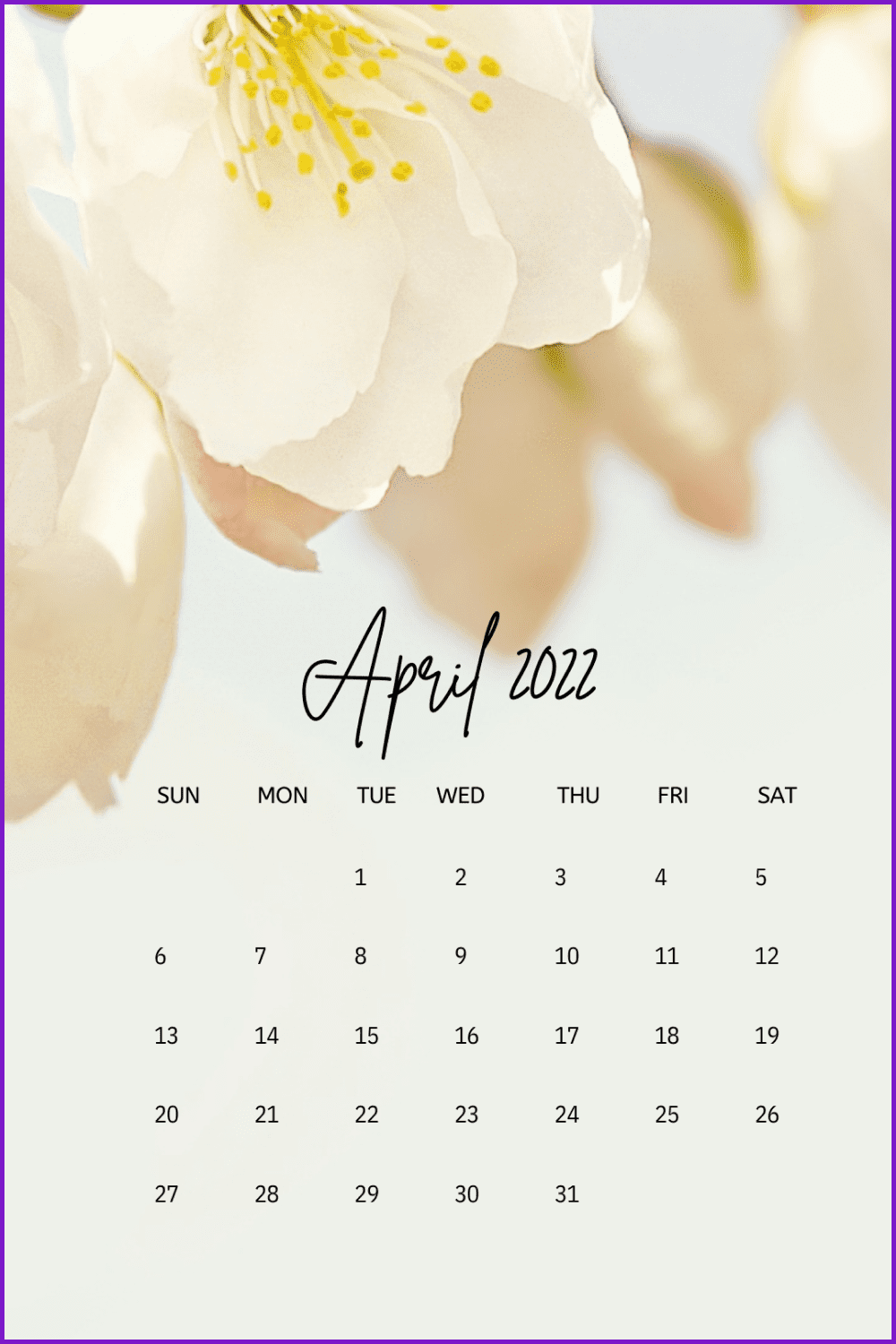 Tender white apple-tree flower calendar.