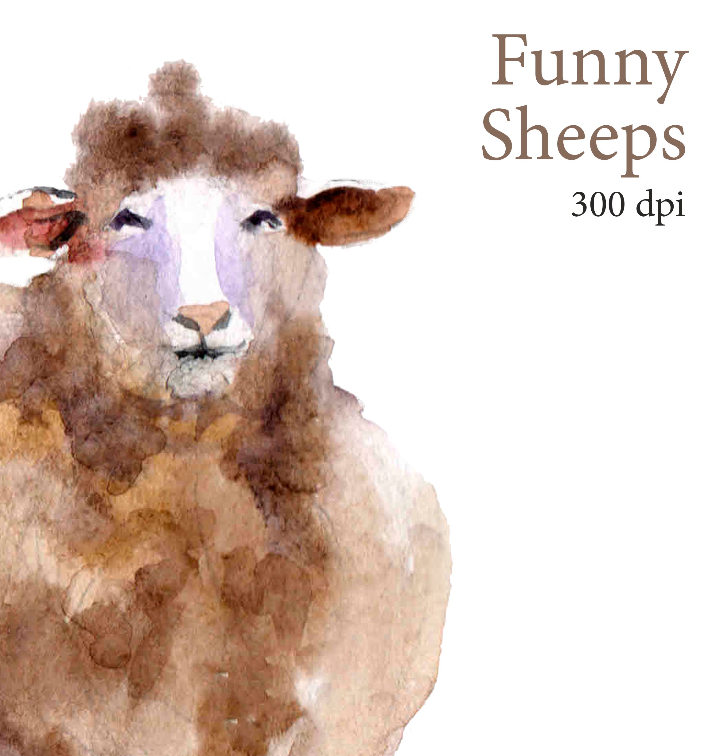 Watercolor Clipart. Sheep Clipart.