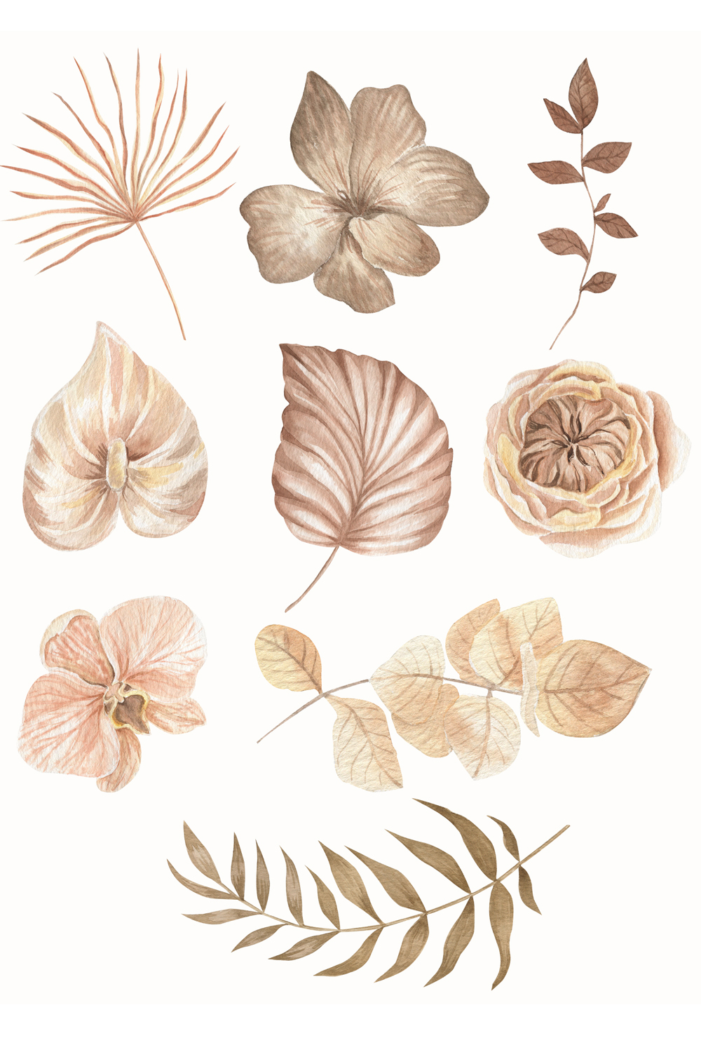 Boho Flowers Watercolour Collection