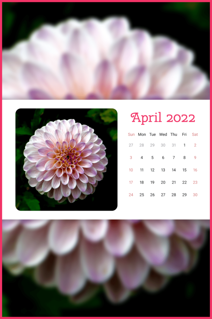 Free Printable Calendar with a Golden-daisy: April 2022 – MasterBundles