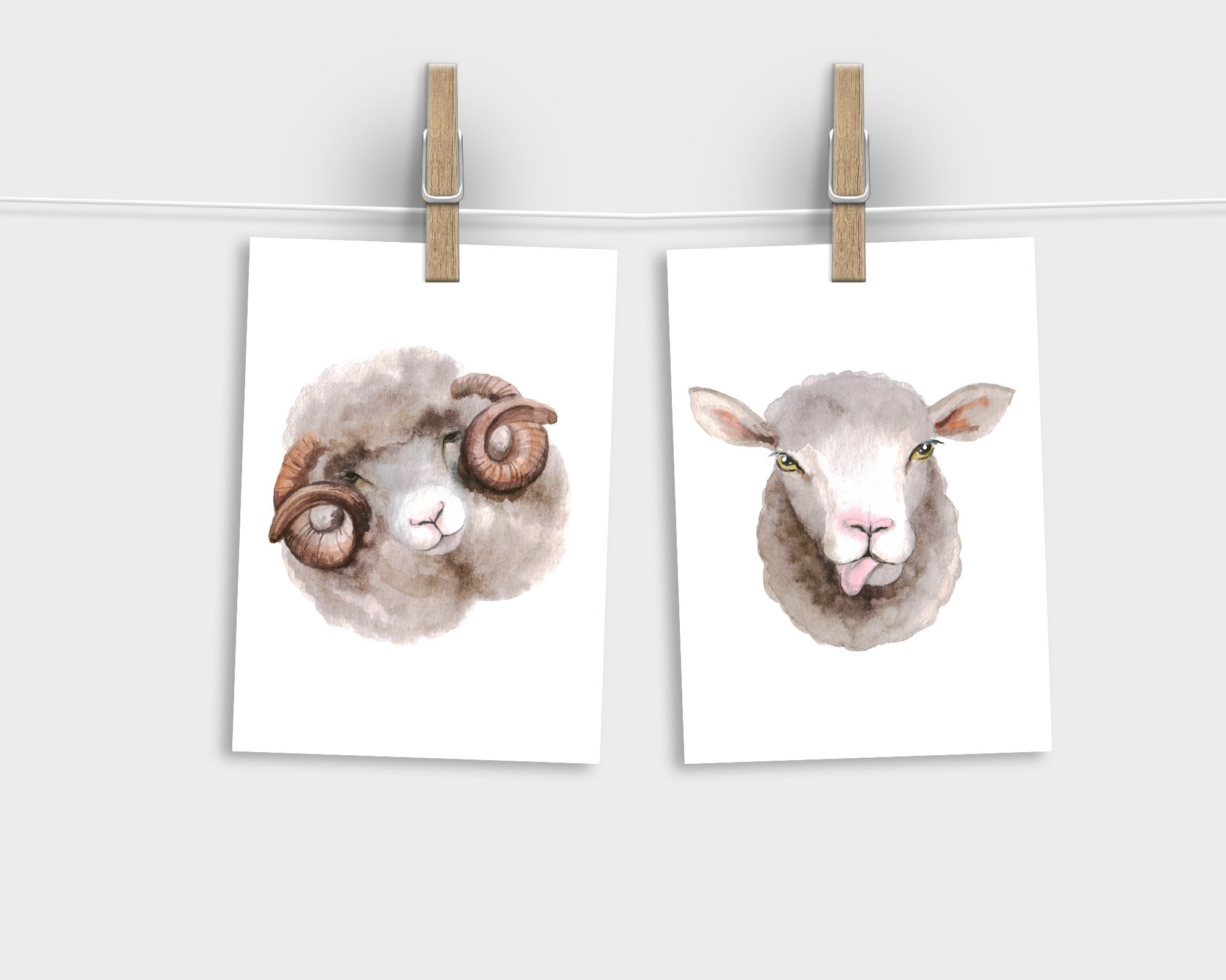 Watercolor Clipart. Sheep Clip Art.