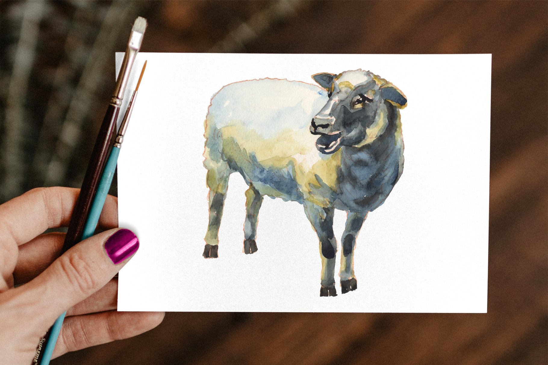 Sheep & Lambs Watercolor Set.