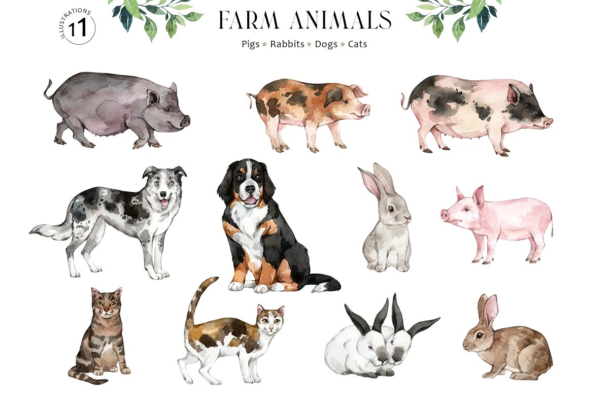 The collection includes 60 watercolor farm animal illustrations.