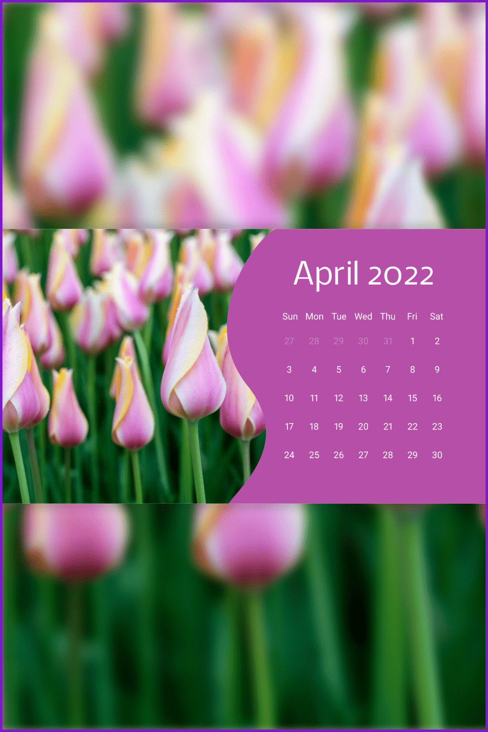 Calendar with combination of violet and green.