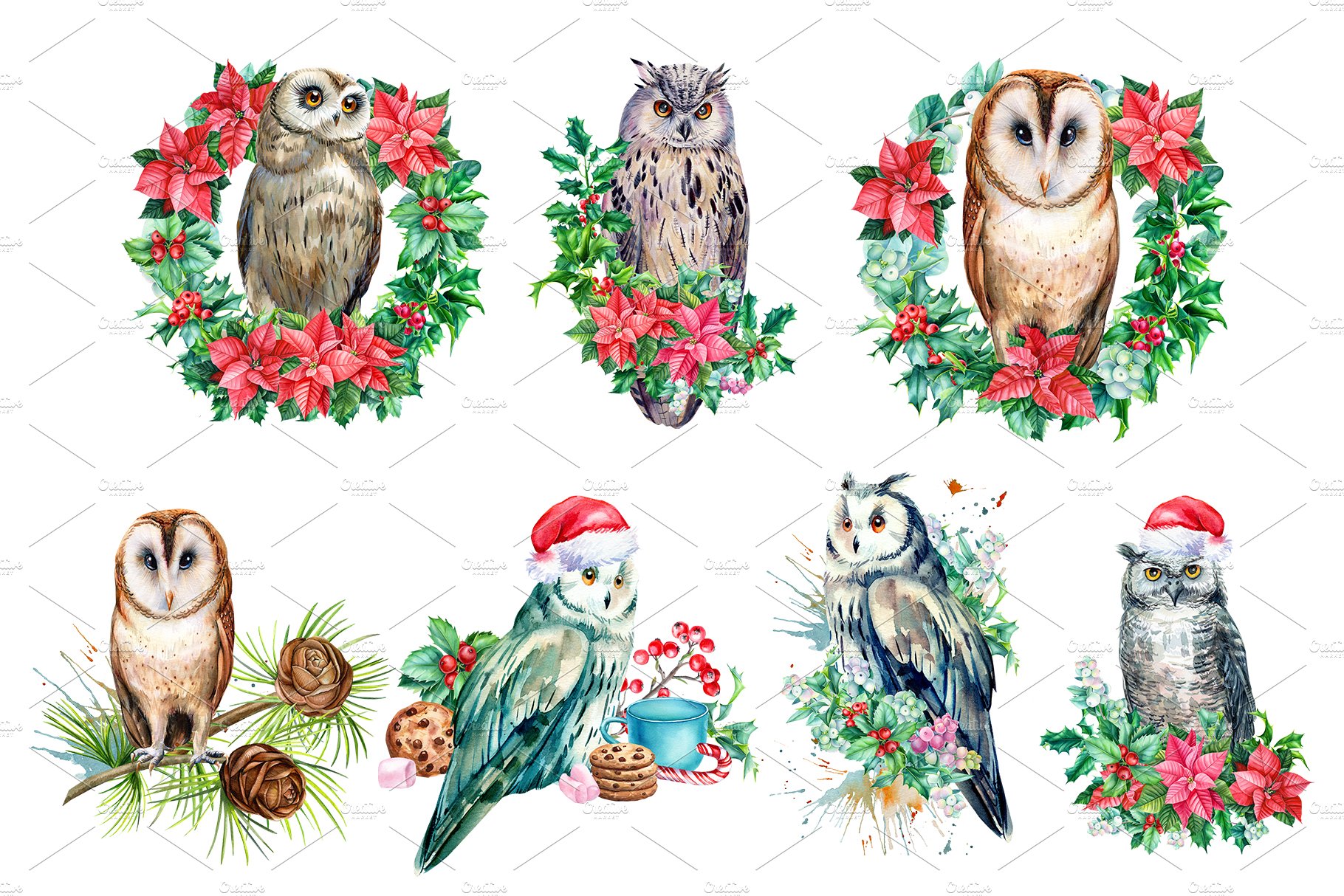 Watercolor Christmas Flowers and Owl.