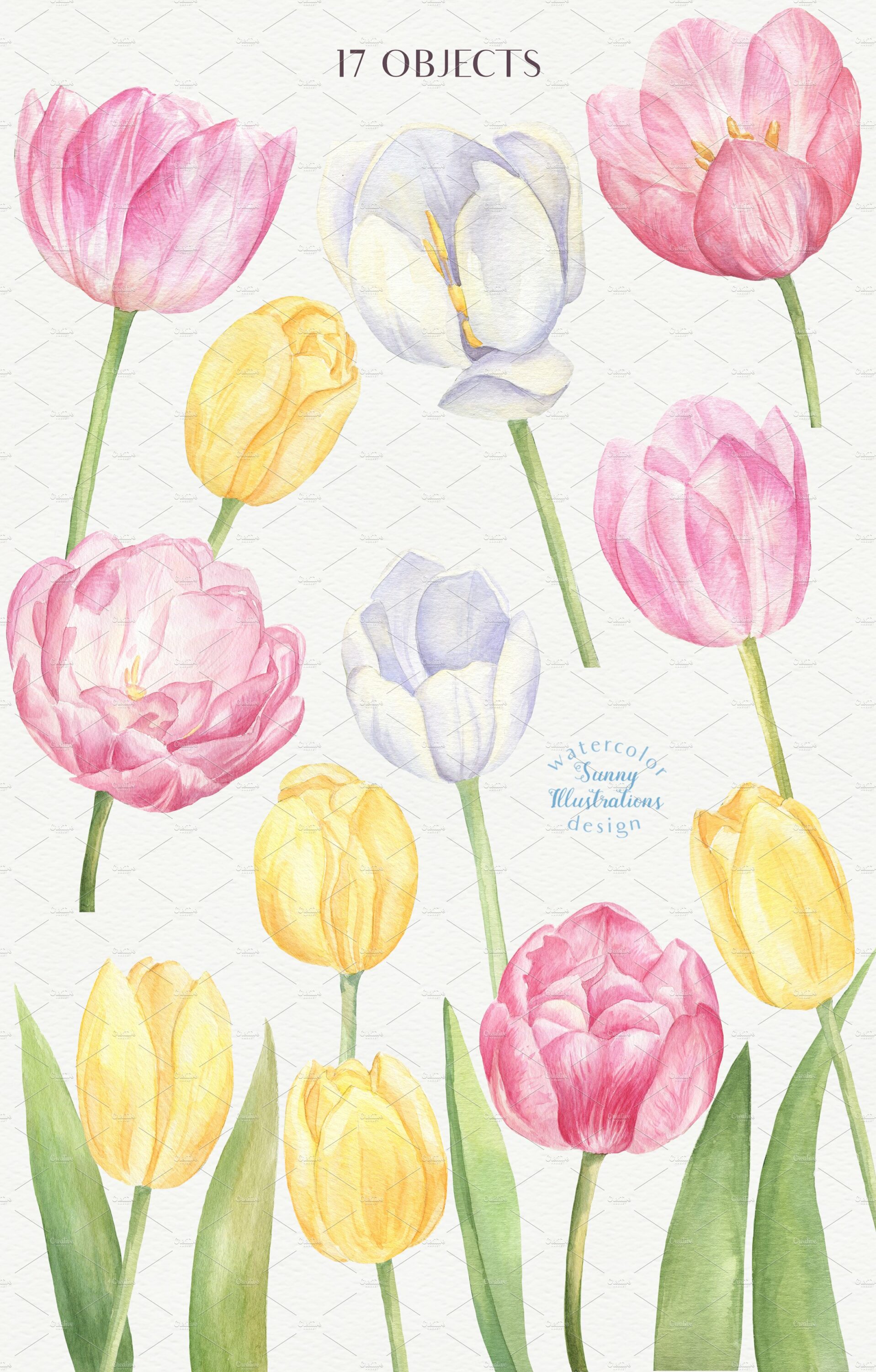Watercolor Tulips.