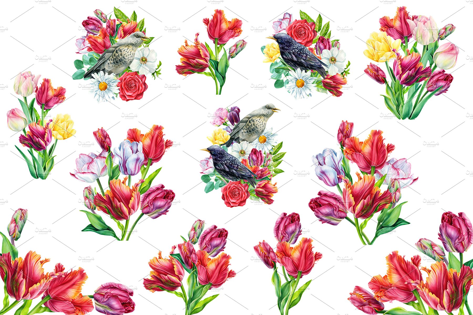 Flowers Tulips and Birds Starlings.