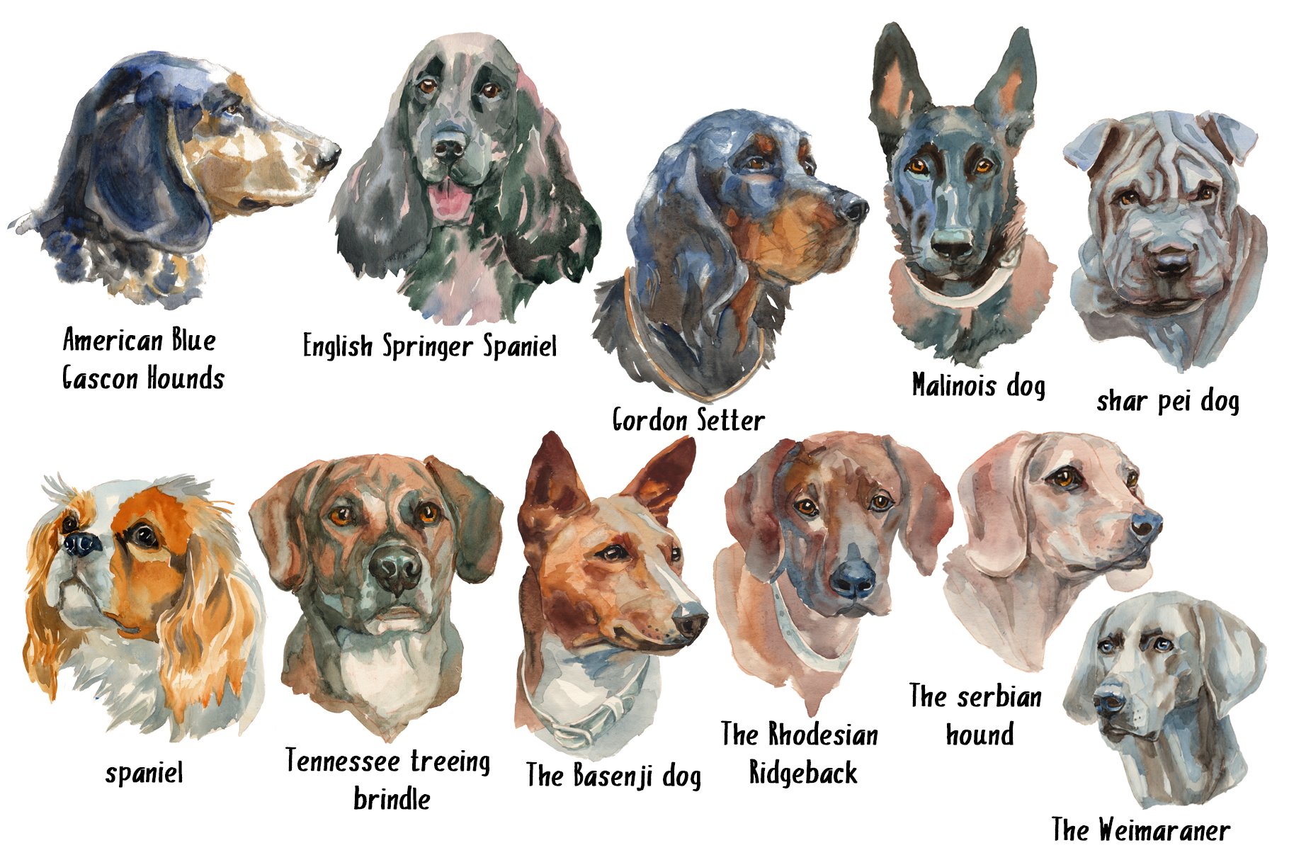 Hunter Dogs Watercolor Set 2.