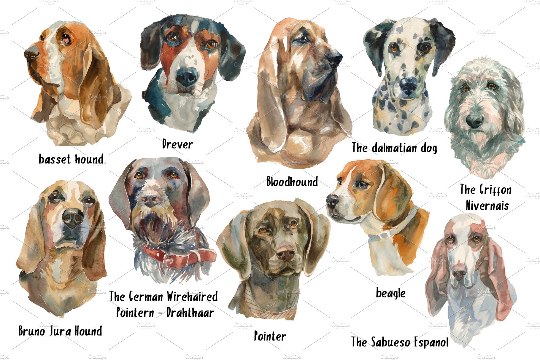 Sherlock Dogs Watercolor Set.