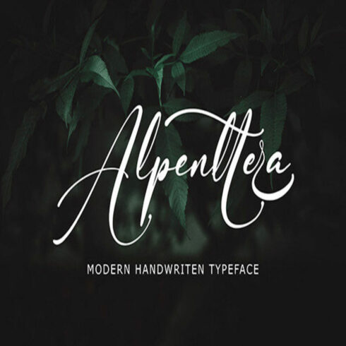 Alpenttera Font.