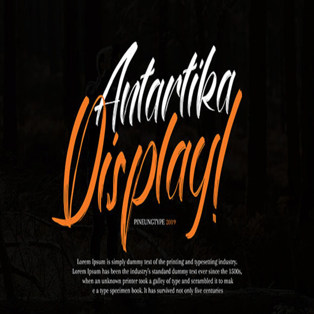 Antartika Duo Font cover.