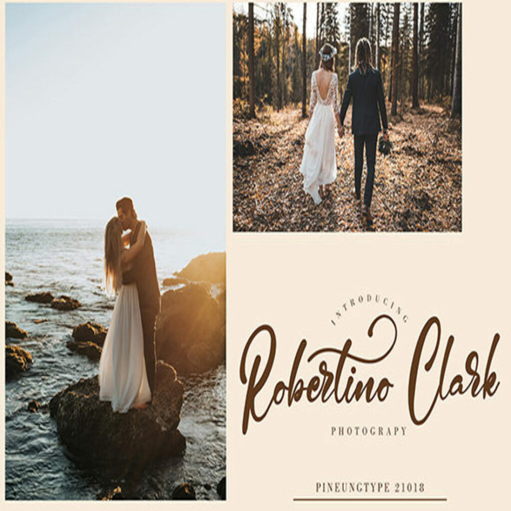 10 Simple Script Fonts Bundle | Master Bundles