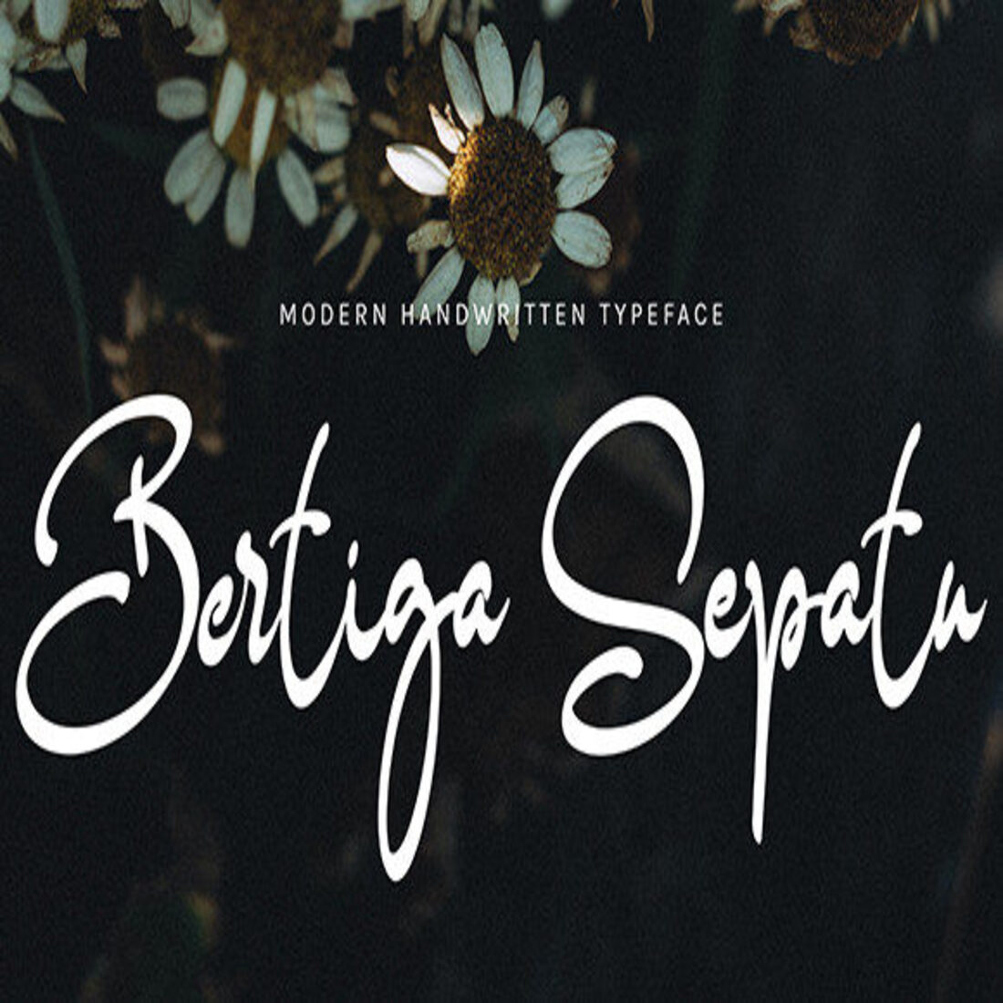 Bertiga Sepatu Font cover.