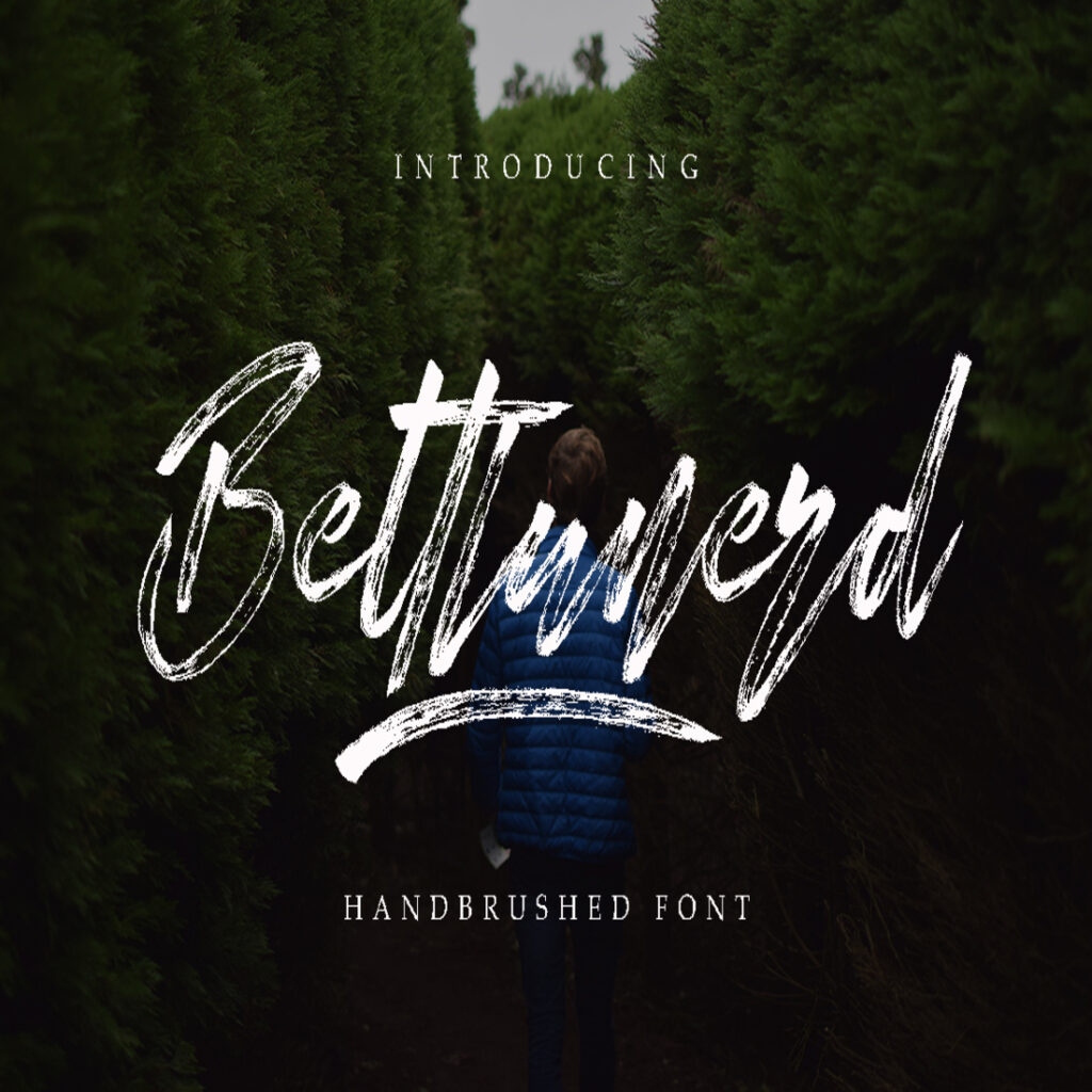 10 Script Embroidery Fonts Bundle – MasterBundles