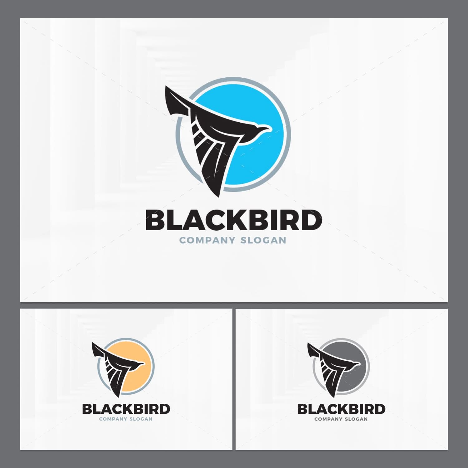Black Bird Logo Template cover.