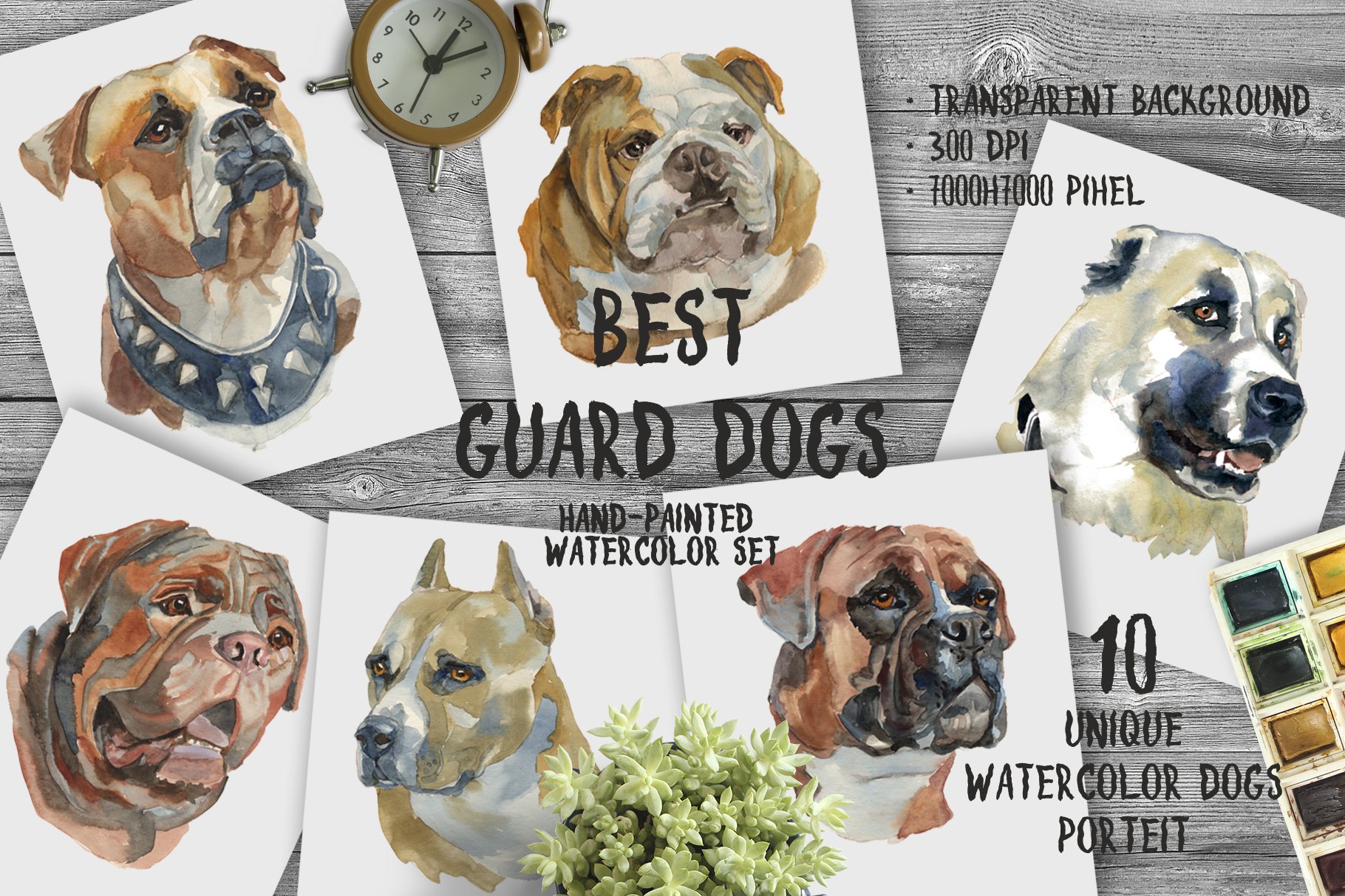 Best Guard Dogs.