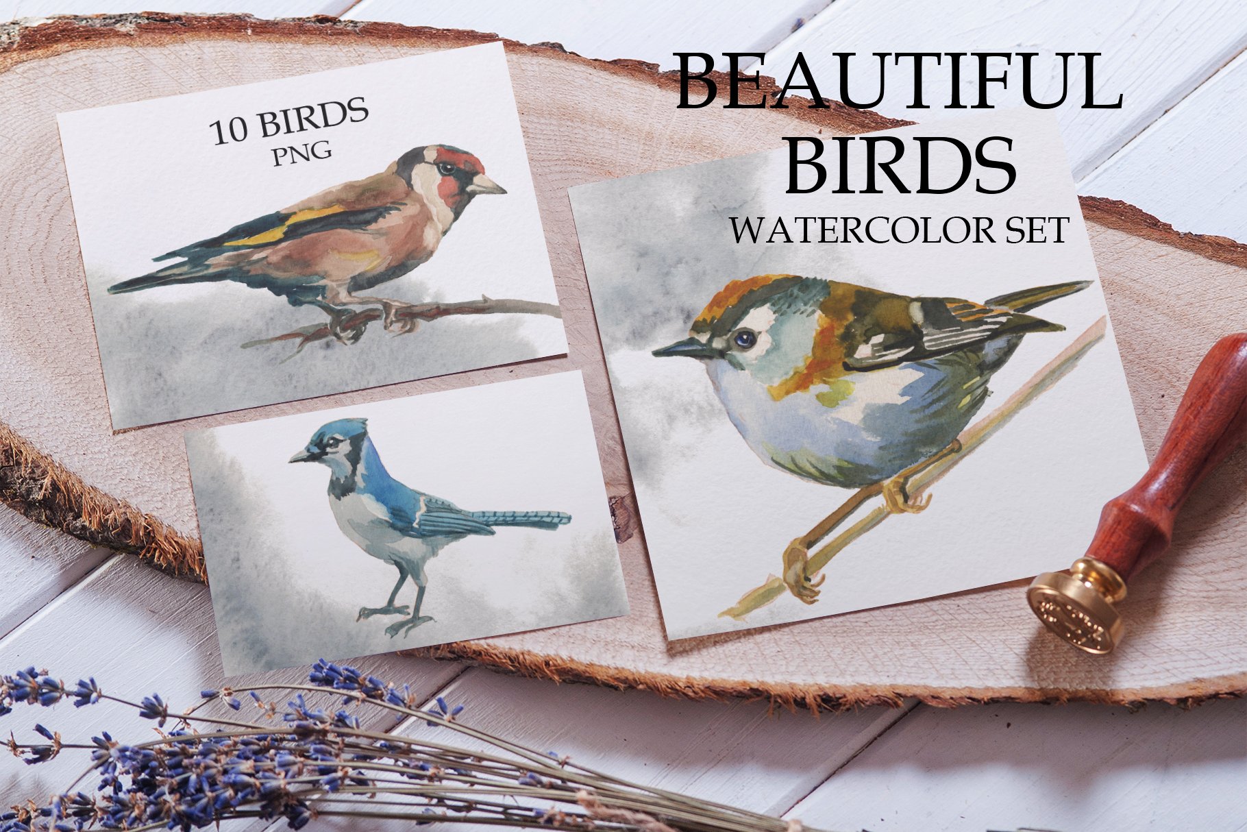 Beautiful Birds.