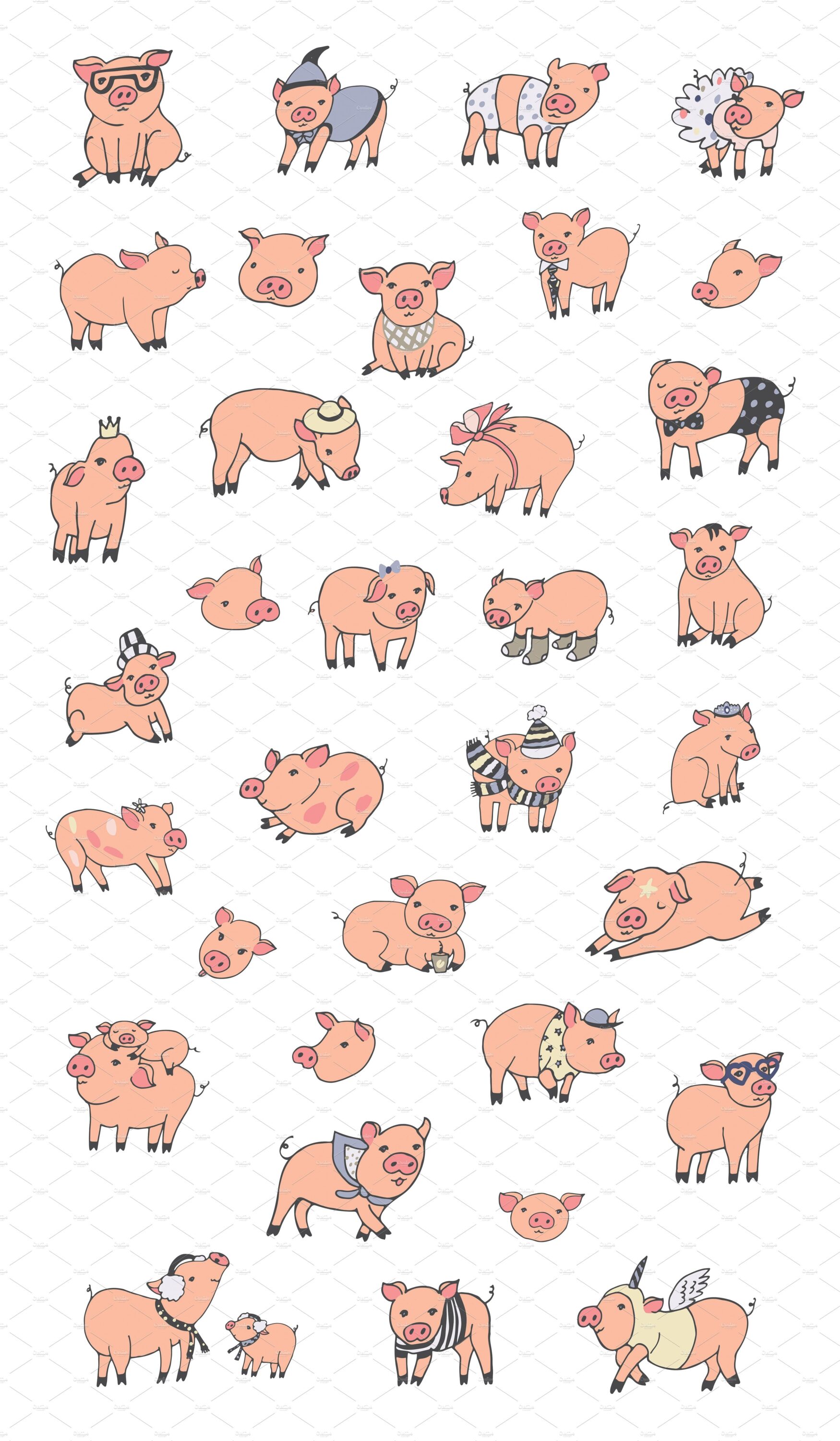 Funny Pigs.