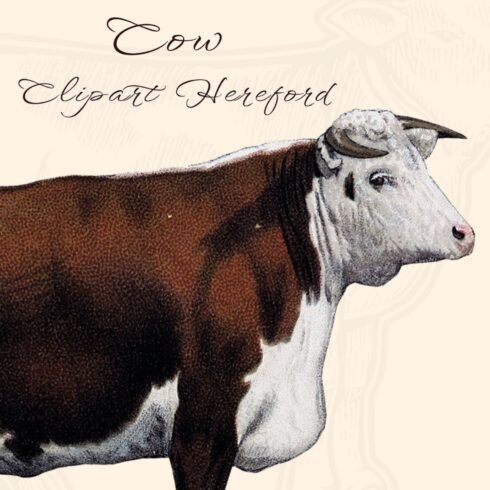 This farmhouse cow clipart came from a book published in the 1800’s.