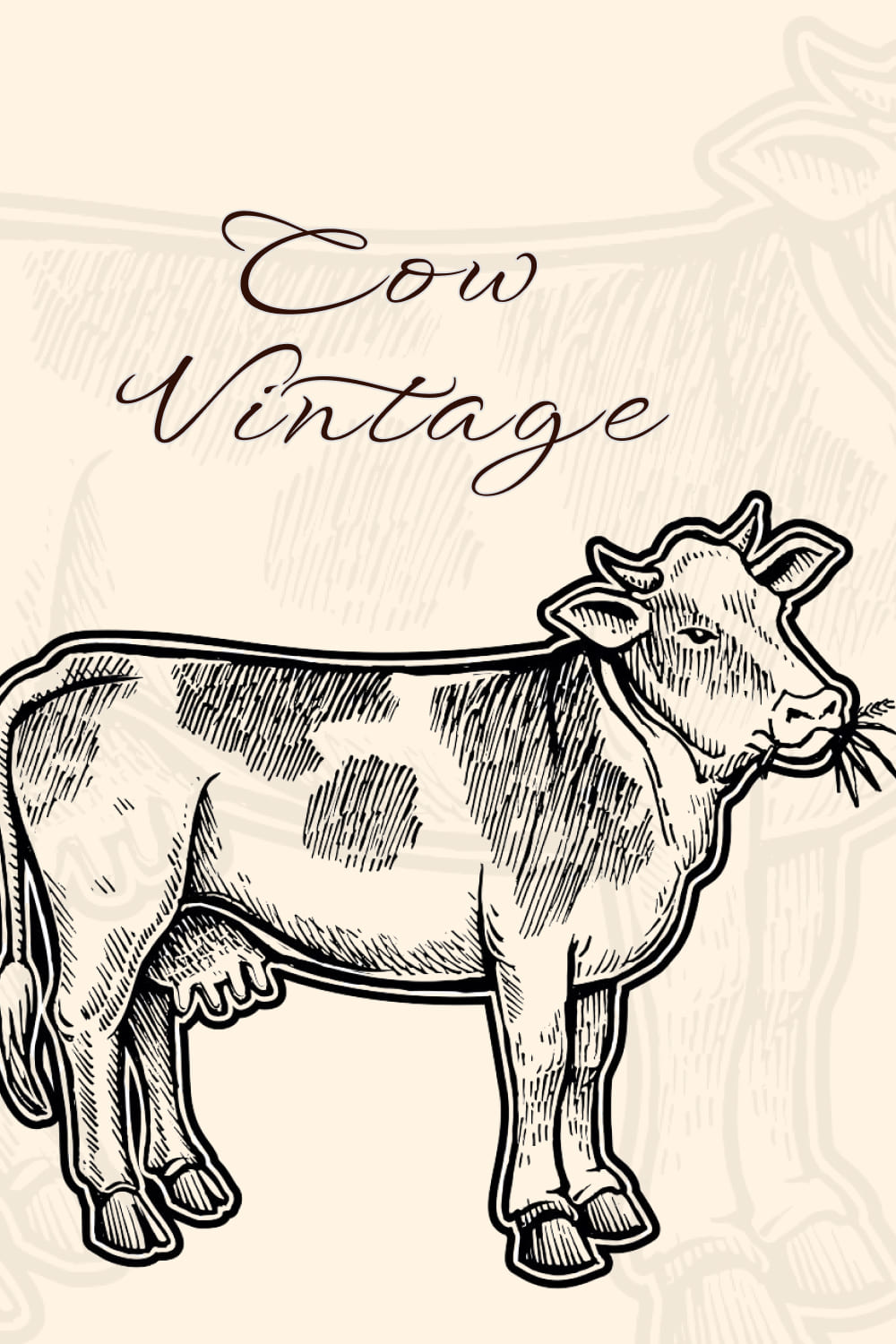Cow Vintage Illustration - Pinterest Image Preview.