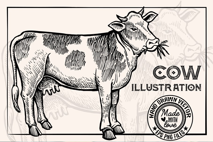 The main image preview of Cow Vintage Illustration.