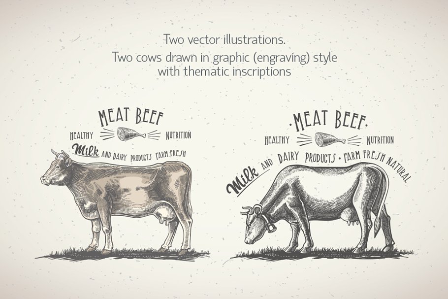 Two cows drawn in graphic style in thematic inscriptions.