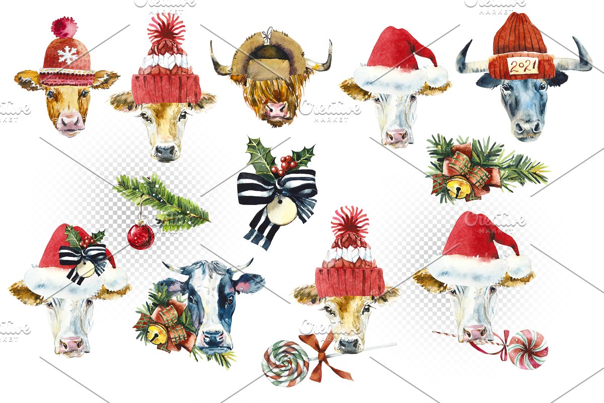 High quality hand painted watercolor cows heads in warm christmas hats.