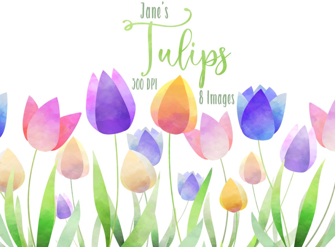 Watercolor Tulips Clipart.