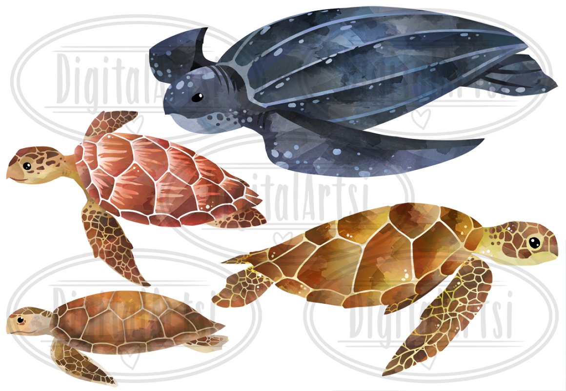 Watercolor Sea Turtles Clipart.