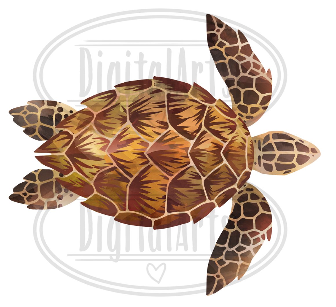 Watercolor Sea Turtles Clipart.