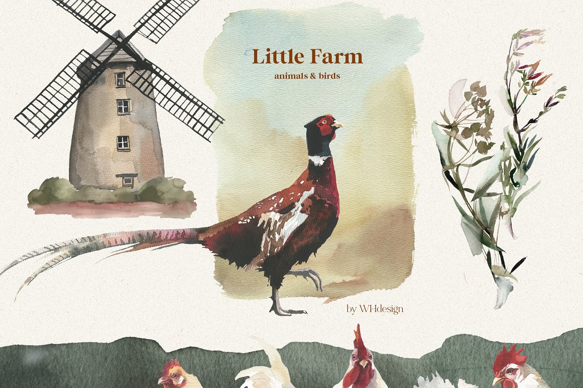 Little Farm Animals: Animals & Birds.