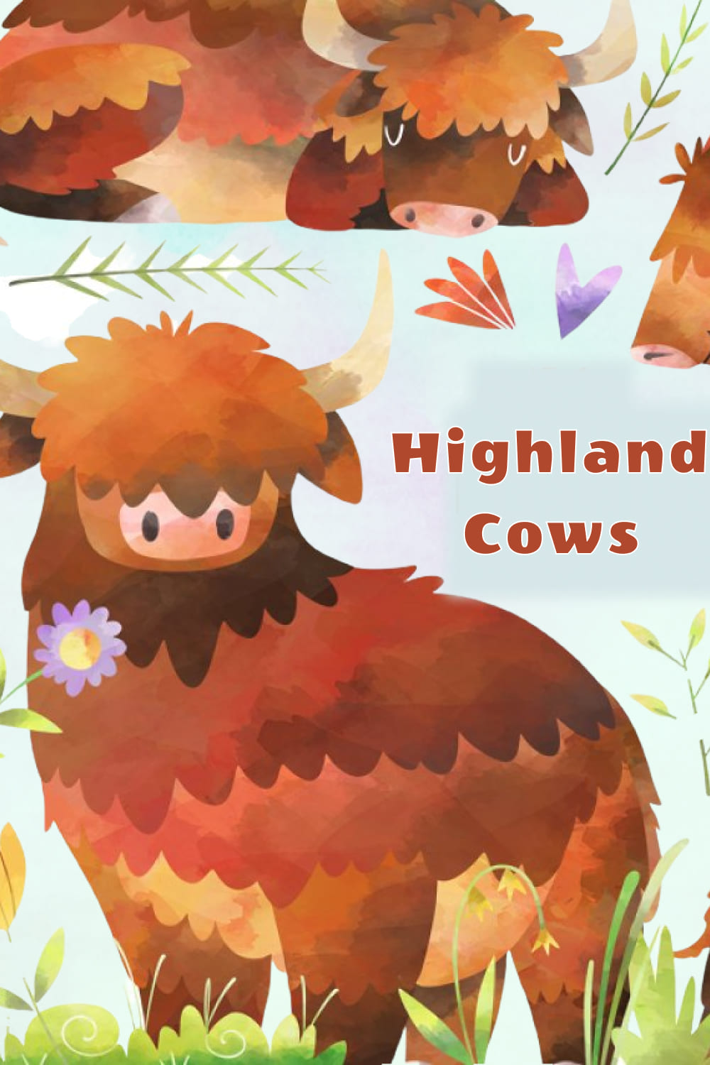 highland cows 04