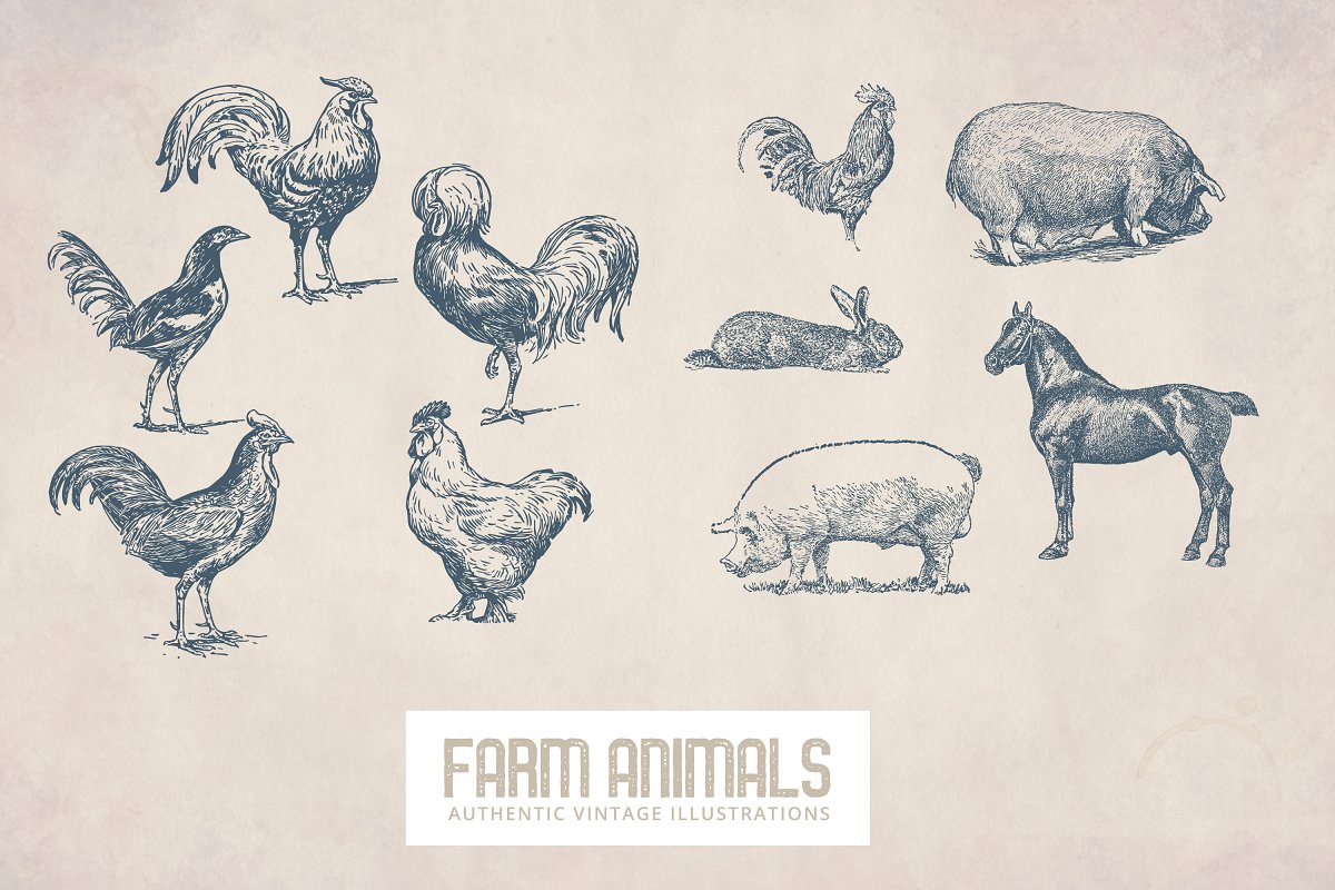 Different farm animals pictures.