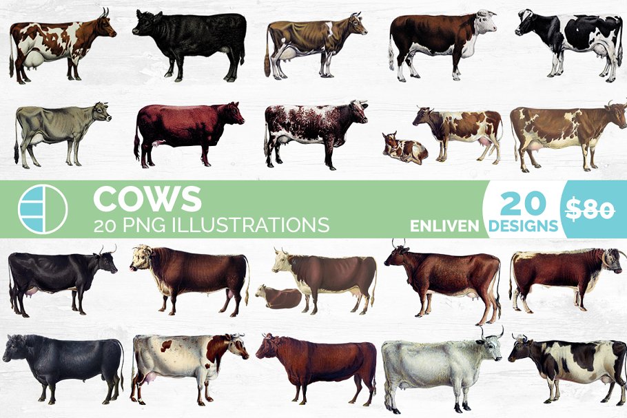 The main image preview of Cow Clipart Bundle.