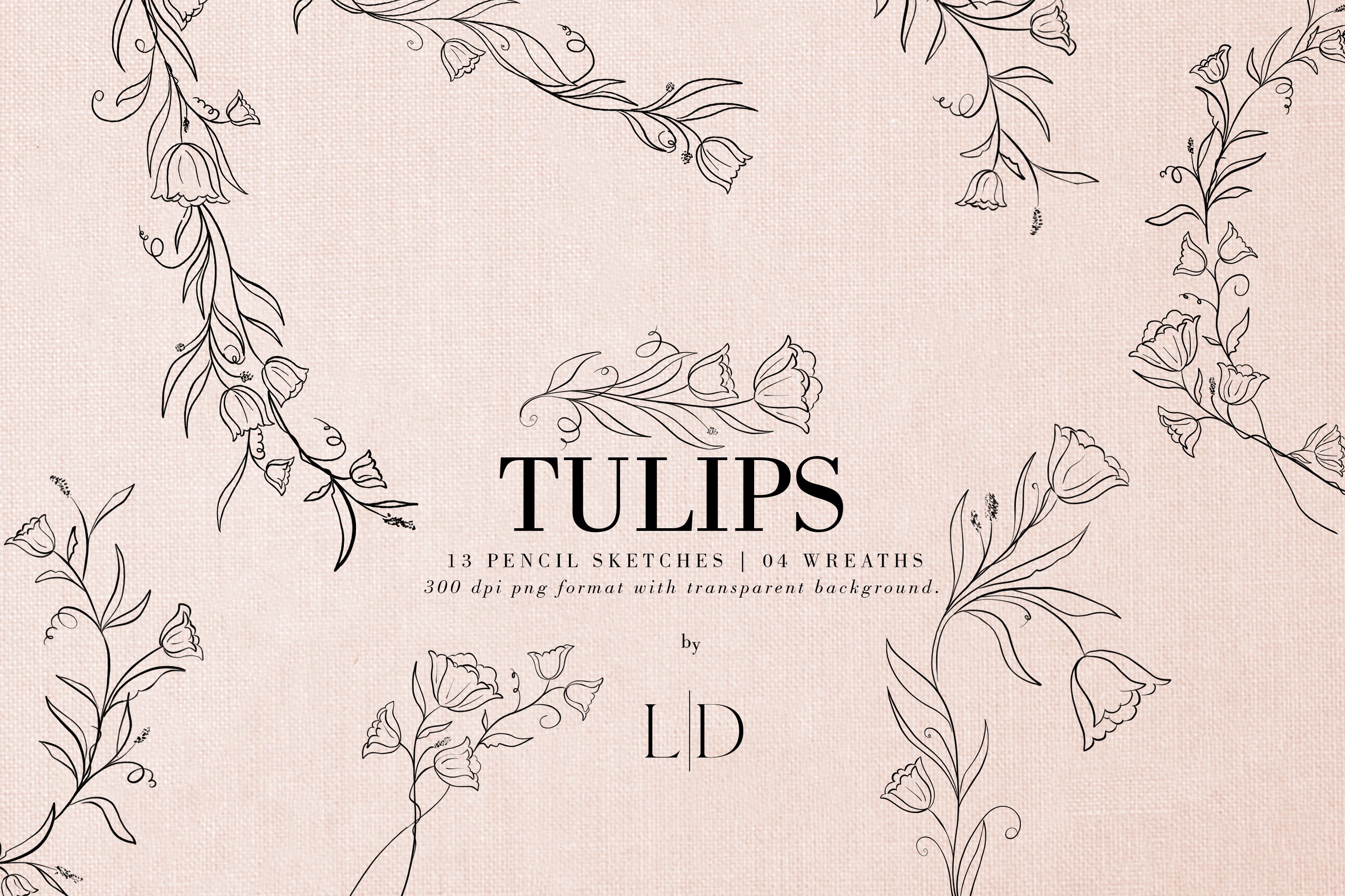 Tulips.