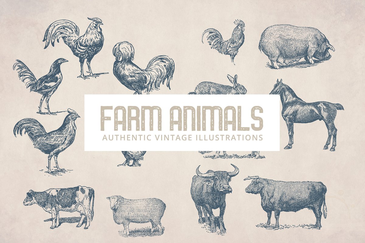 The main image preview of 55 Vintage Farm Animals.