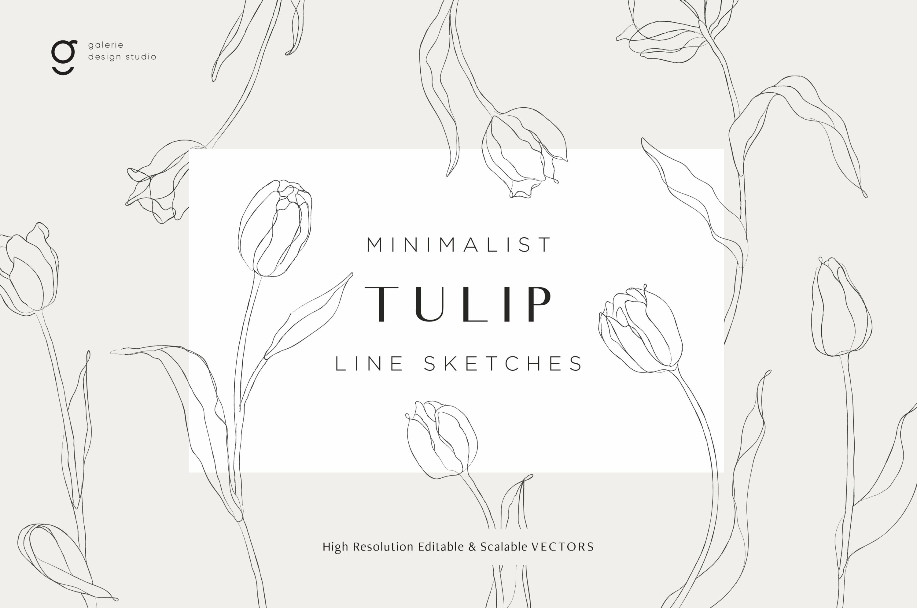 Minimalist Tulip Line Sketches.