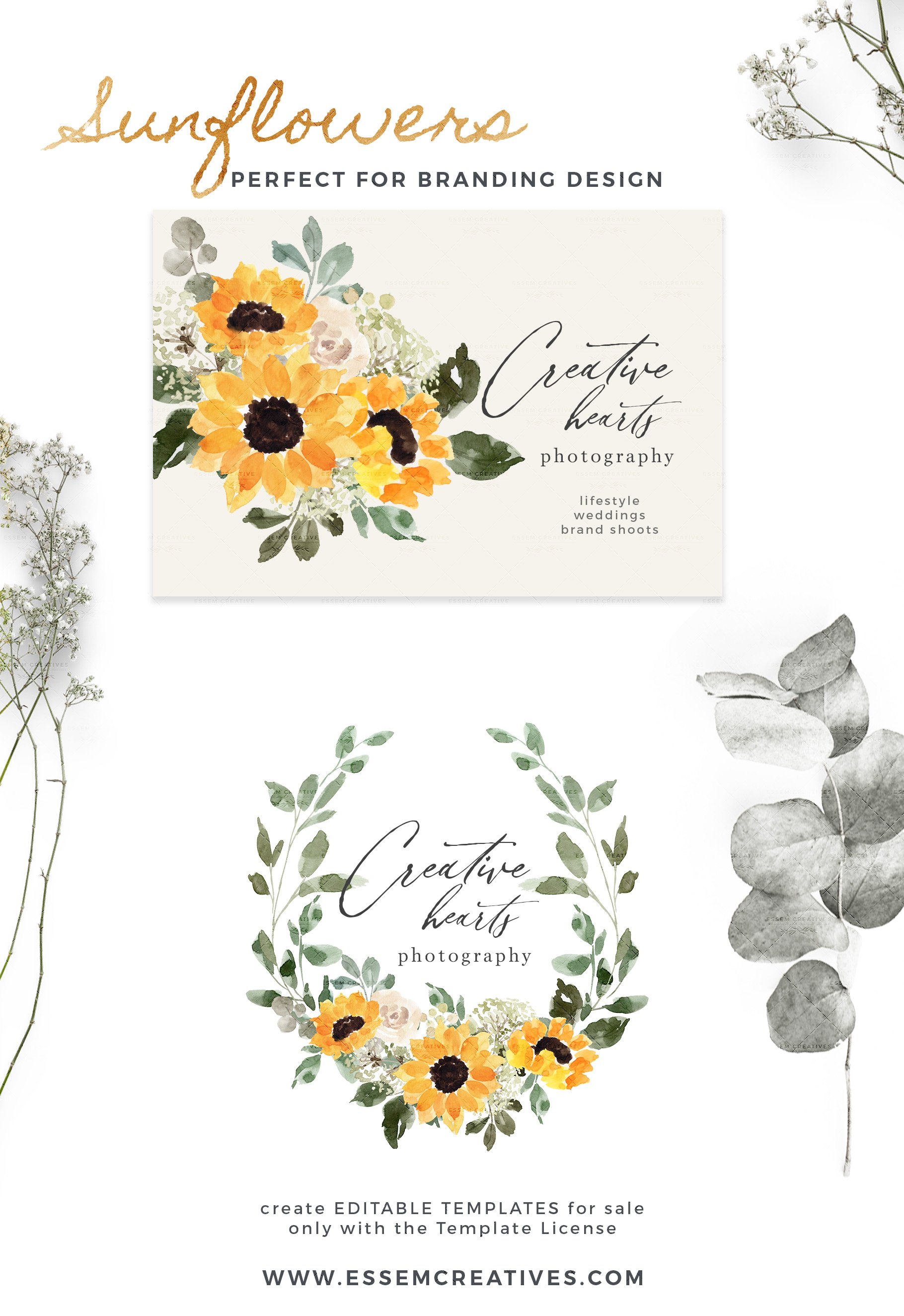 Watercolor Sunflowers Clipart Rustic.