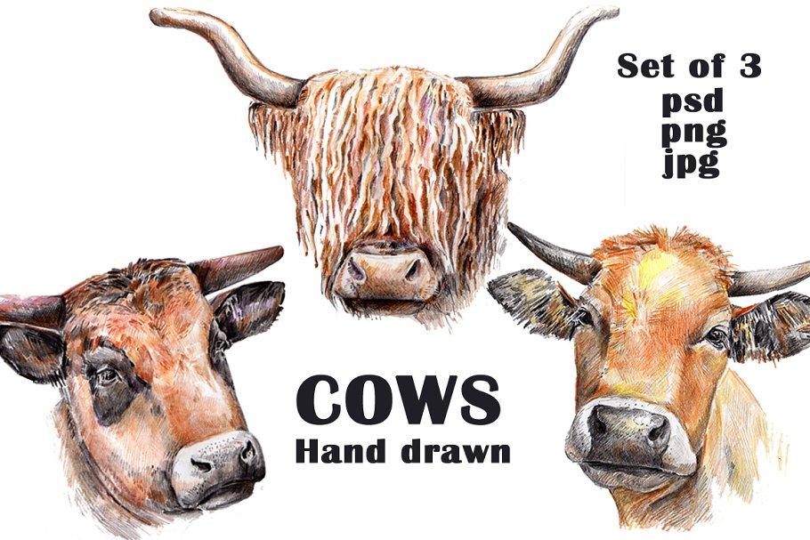 The main image preview of Hand drawn Cows Clipart.