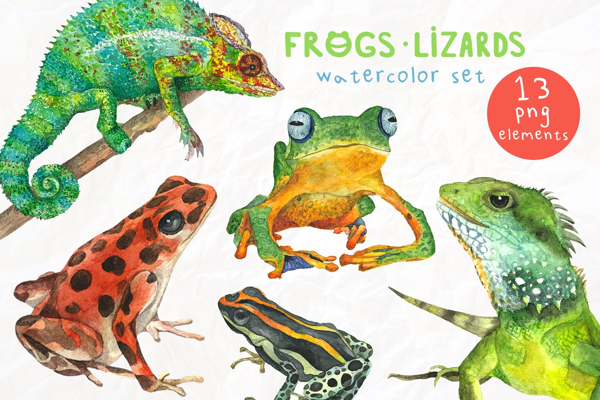 The main image preview of Frogs&Lizards - Watercolor Set.