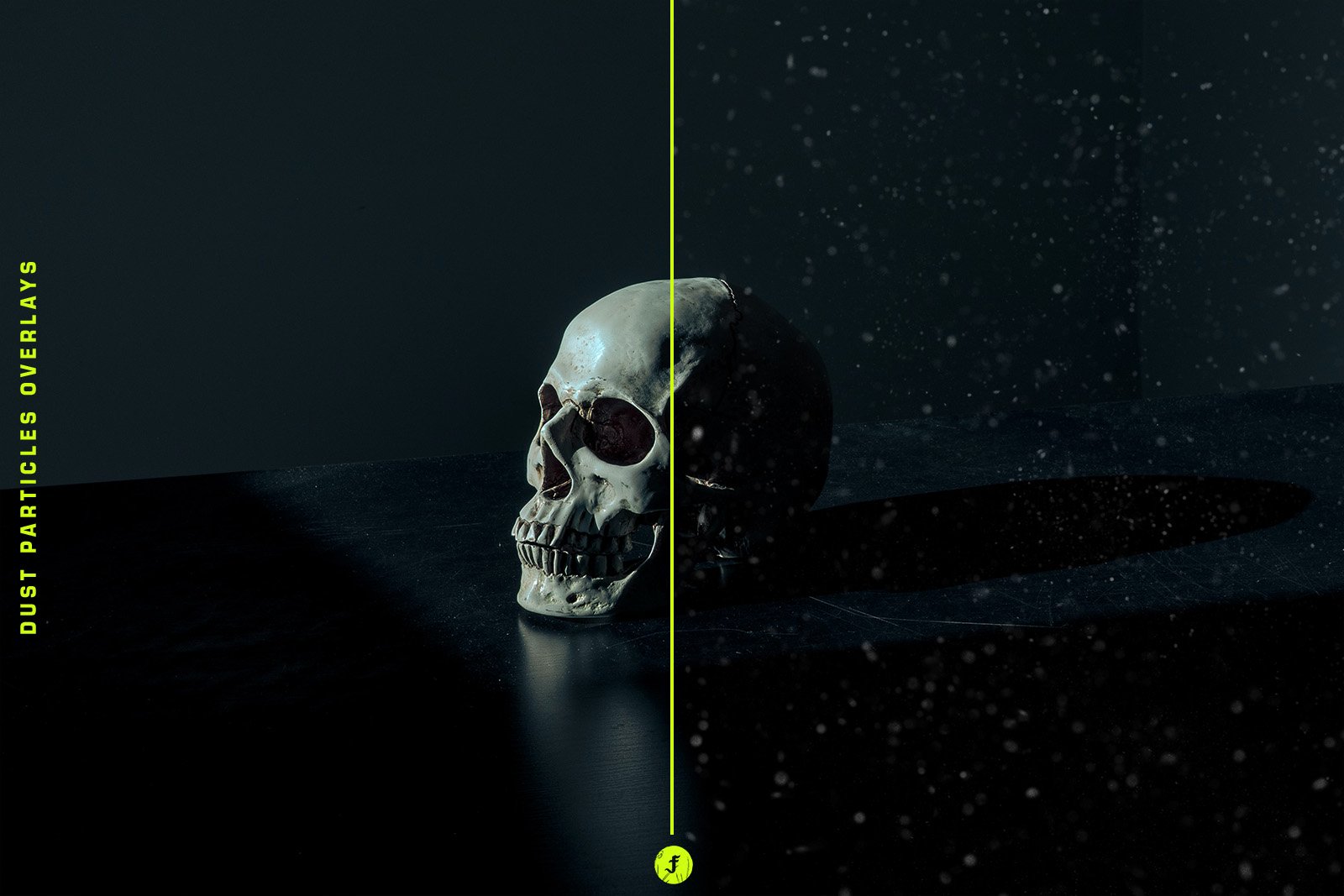 Black background and grey scull - creative idea for interesting project .