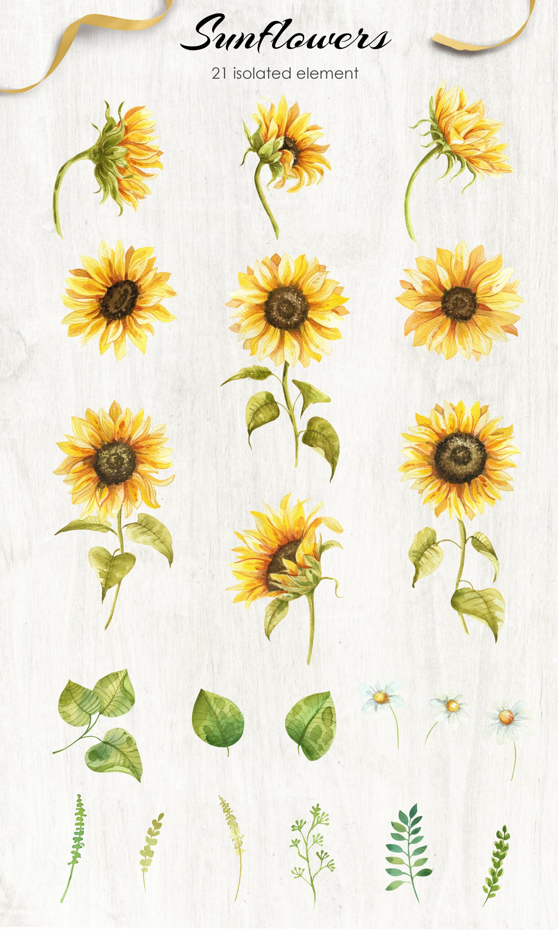 Sunflowers Watercolor Collection.